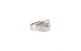 Anello con sigillo Elefante - Argento e Oro 14 carati | Origami Jewellery