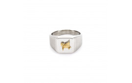 Anello con sigillo Pegaso - Argento e Oro 14 carati | Origami Jewellery